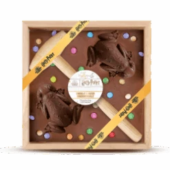 Chocolat à Casser - Chocogrenouille - Harry Potter