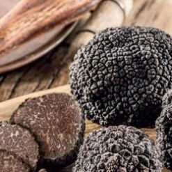 Coffret "Il était Une Fois La Truffe" -Le Comptoir De Mathilde coffret il etait une fois la truffe 3