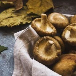 Le Comptoir De Mathilde -Le Comptoir De Mathilde delice cepes 100 g 1