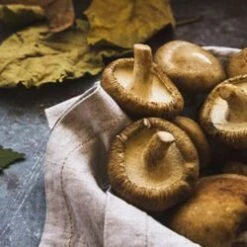 Moutarde Aux Tomates Séchées Et Basilic - 100g -Le Comptoir De Mathilde moutarde aux cepes le comptoir de mathilde 2